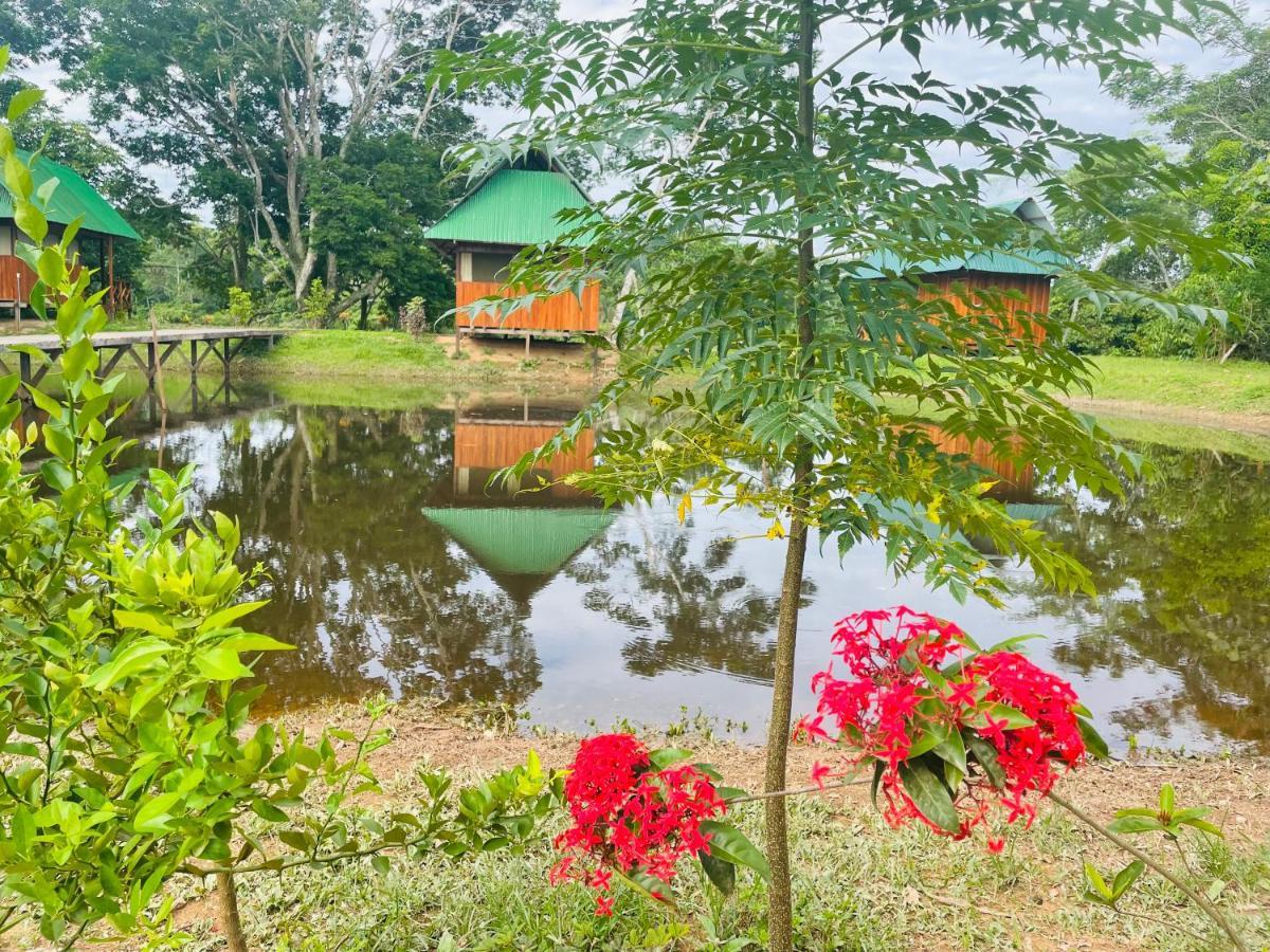 Sunrise Of Tambopata Villa Puerto Maldonado Exterior photo